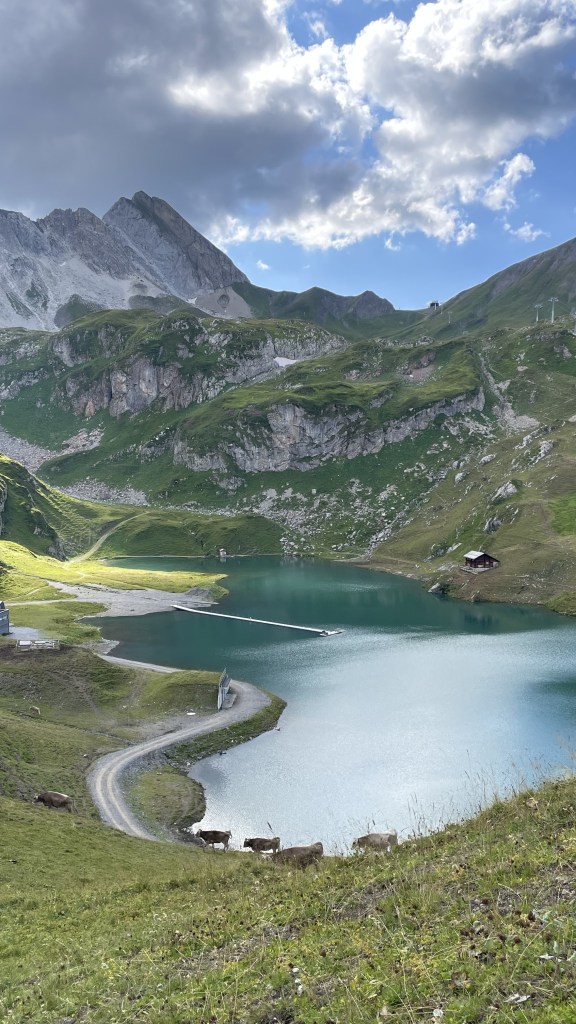 The view looking down from the lift station over the Zürsersee. Towards the ascending trail